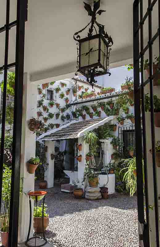 Córdoba 173 - barrio san Basilio - Patios del Alcazar Viejo - calle Martin de Roa 7.jpg